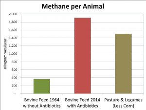 Methane-from-Cattle-Feed